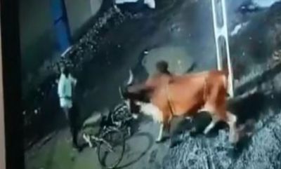 Watch: Crazy bull attacked 2 men, video goes viral