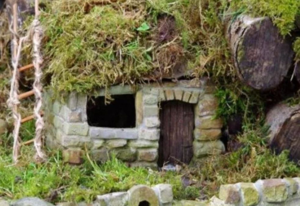 This man has build the whole village for rats, making so many special arrangements