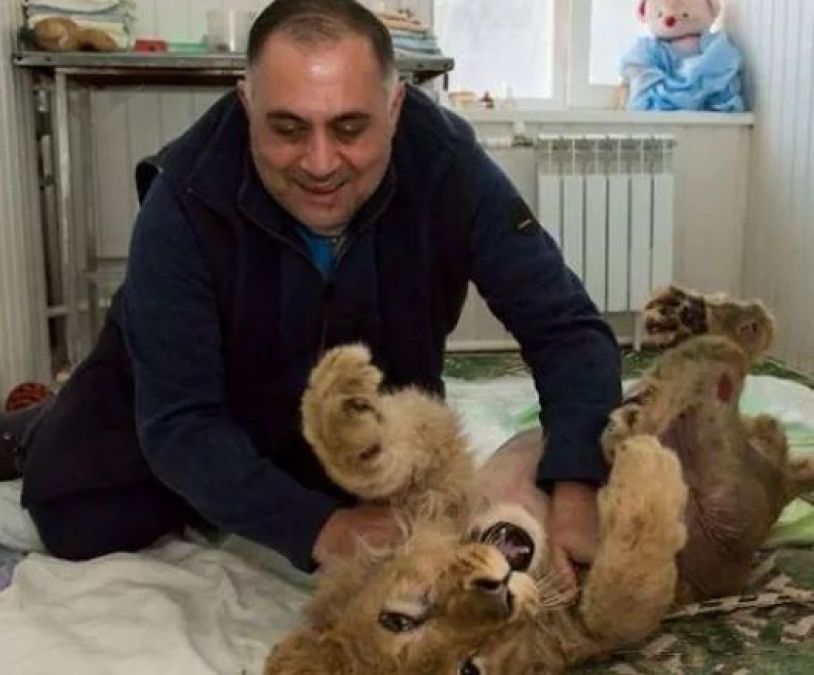 lion cub got tortured for taking photos, this person saved its life