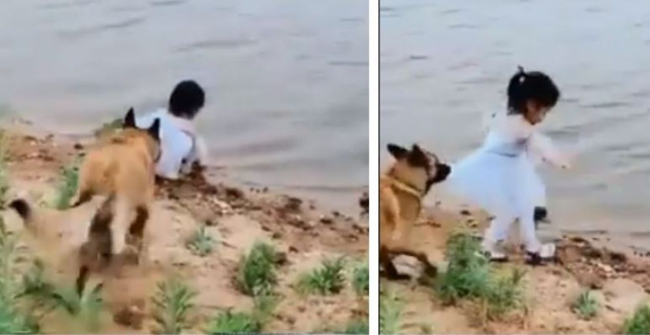 Video: To resucue, a Girl  this dog did the shocking task