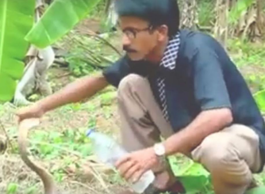 Video: When the thirsty cobra was fed water by this man