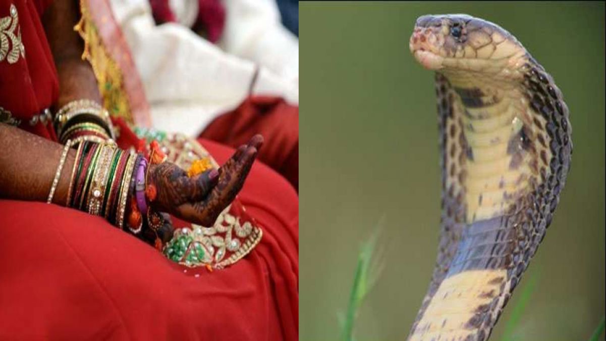 This girl wants to marry a snake, says Lord Naag married her in her dream!