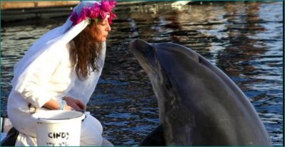 Millionaire woman marries dolphin, now living like 'widow' after death of husband