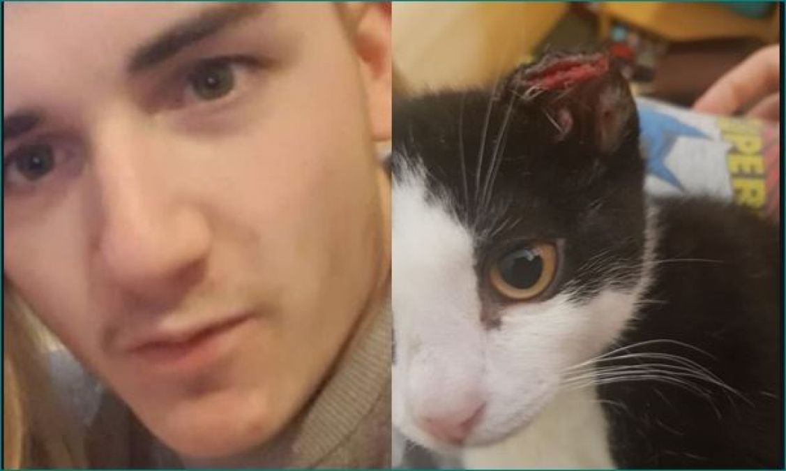 Angry young man did this dreadful act with Cat