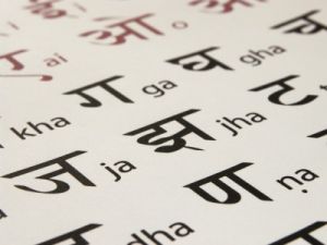 कैसा हो रहा है हिंदी भाषा का हाल, देखिए विडियो में