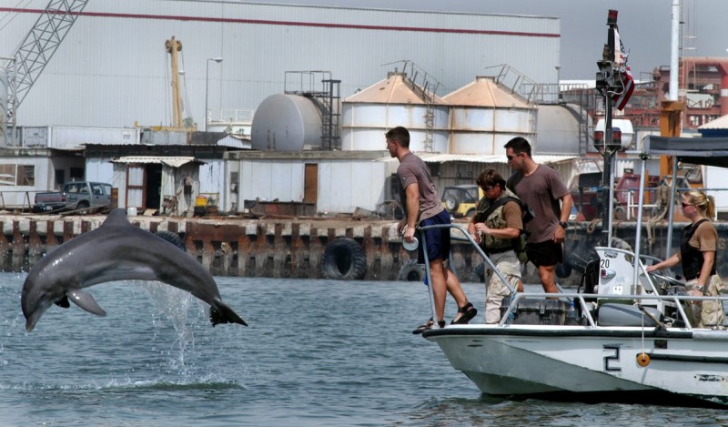 Dolphin and sea lion army protect nuclear weapons at this place