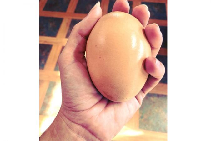 सोशल मीडिया पर काफी चर्चा में हैं इस अंडे का फंडा