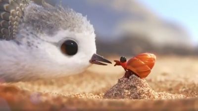 video : इस पक्षी के बच्चे को देखकर आपको भी हो जायेगा उससे प्यार