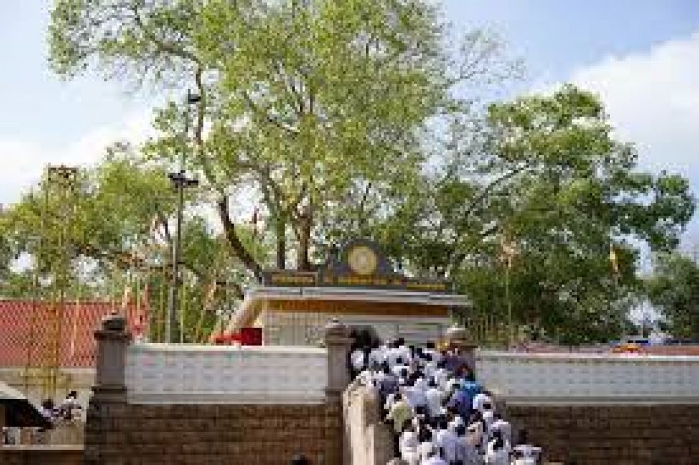 The tree under which Lord Buddha attained enlightenment, such a miracle happened after being destroyed twice