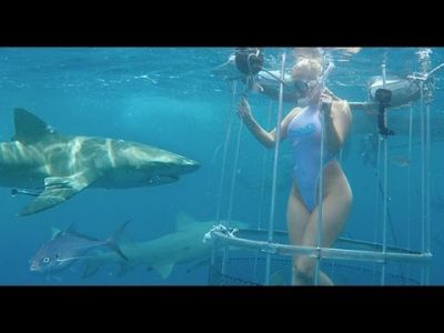 Video : शूटिंग के लिए पानी में उतरी पोर्न स्टार पर शार्क ने किया हमला