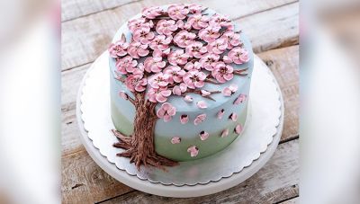 अपने खास फंक्शन्स में अब आर्डर करें ऐसे खूबसूरत Cakes