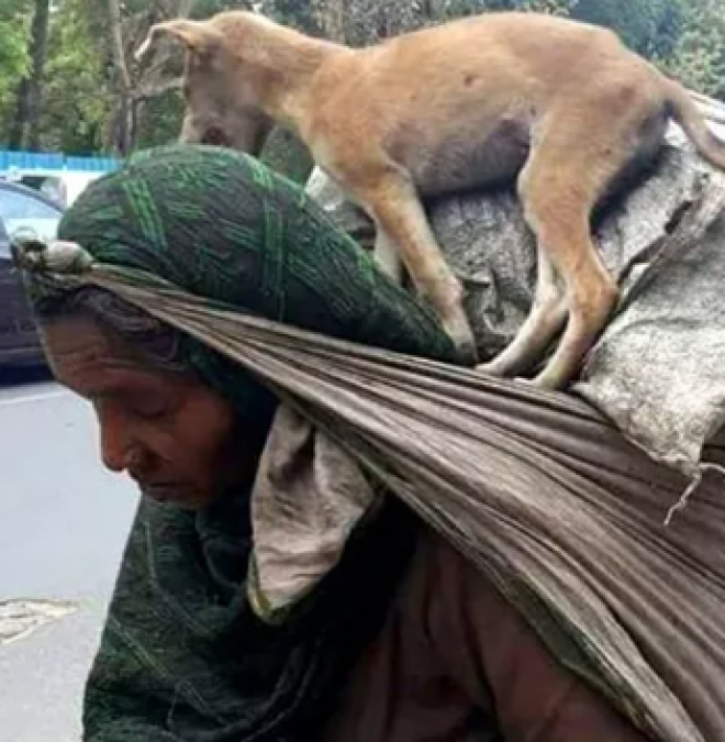 Heart breaking picture of woman goes viral