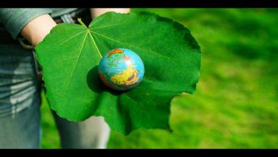 विश्व पर्यावरण दिवस : इस तरह आप बचा सकते है पर्यावरण को