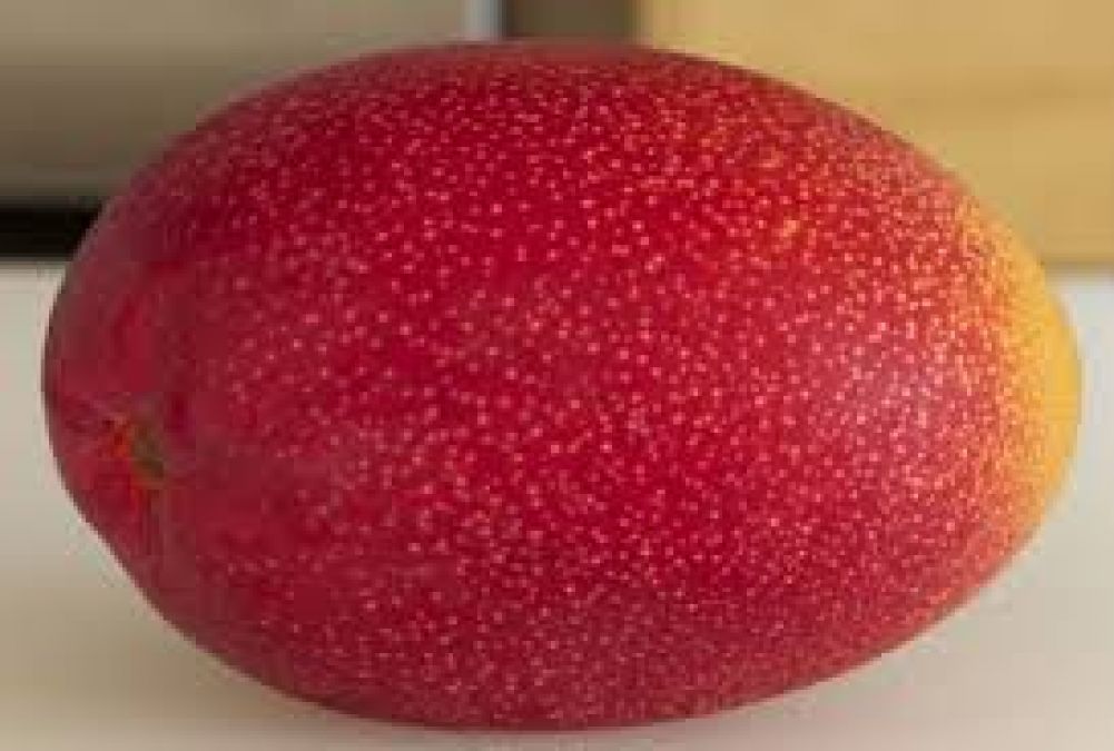 This is the world's most expensive mango