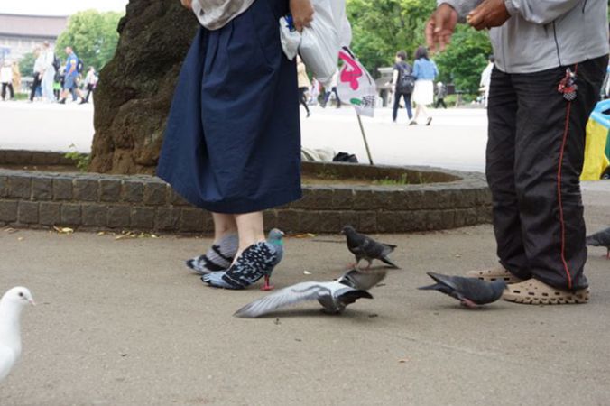 जब महिला कबूतरों से बनी हाई हील्स पहनकर निकल गई सड़को पर