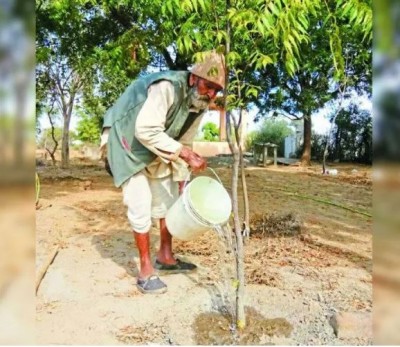 88-year-old Badwale Baba planted several thousand trees of Bad-Peepal in 70 villages of 8 districts