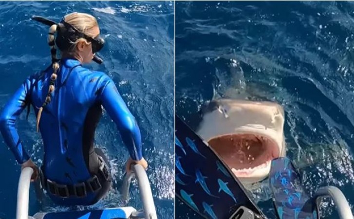 Video: समुद्र में उतरने वाली थी महिला, अचानक आ गई शार्क और फिर...