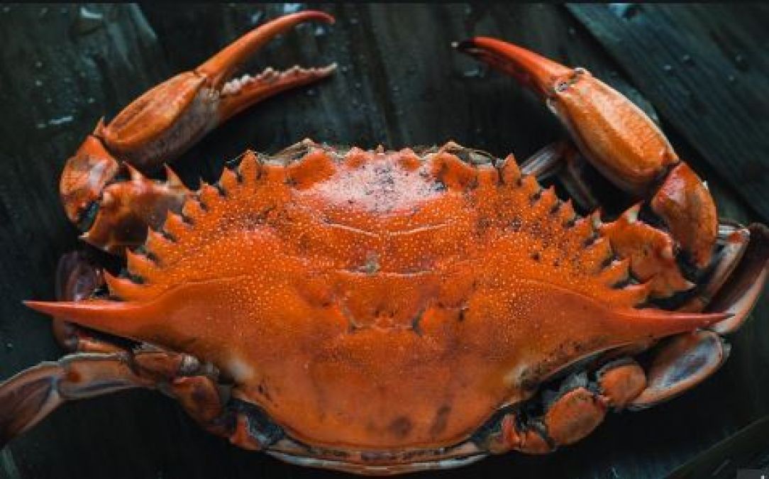 This is the world's most expensive crab, you will be shocked to know its price