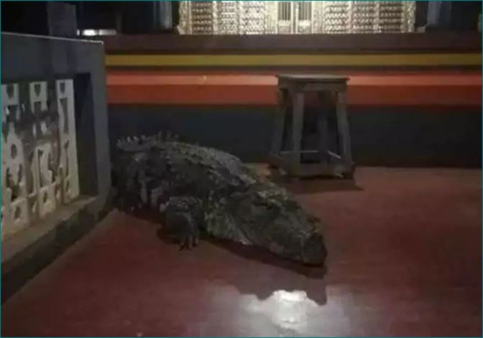 Vegetarian crocodile guards this temple, entered inside for darshan