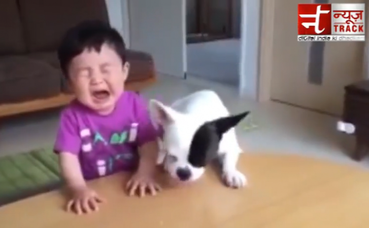 Video : जब इस क्यूट से बच्चे का बिस्किट खा गया उसका पेट् डॉग