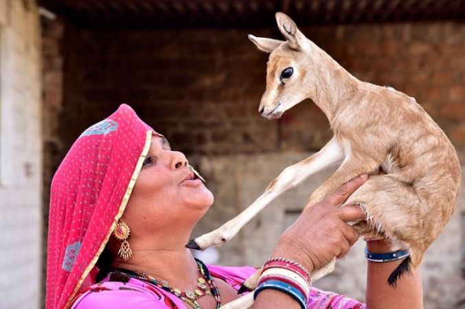 मानवता का सबसे बड़ा रूप है दया