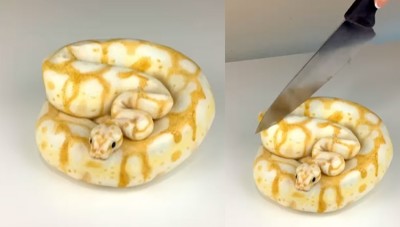 VIDEO: Realistic snake shape cake video goes viral, left netizens shocked