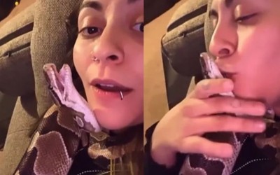 Video: Girl repeatedly Kiss a alive snake by calling it I Love U