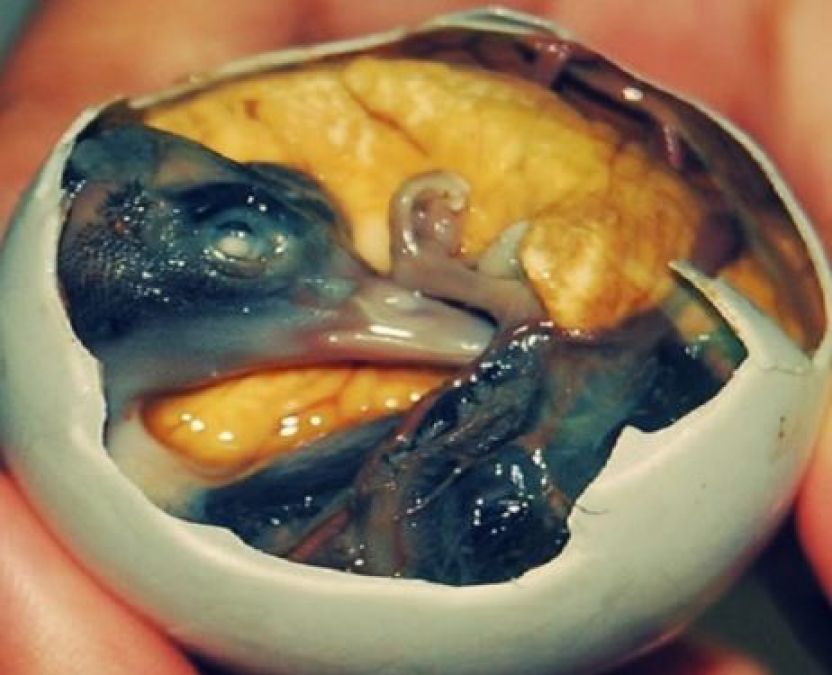 This strange and ugly dish is eaten worldwide, your mind will be amazed after hearing about it!