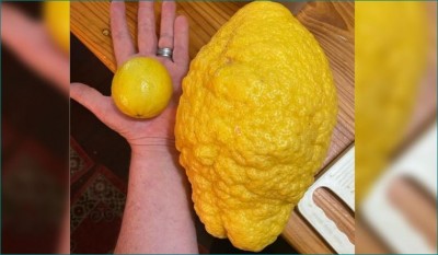 Pictures of this lemon shading social media, people's senses blown away