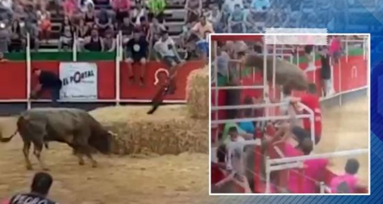 Video: Bull Fight was going on, angry bulls attacked the audience and...