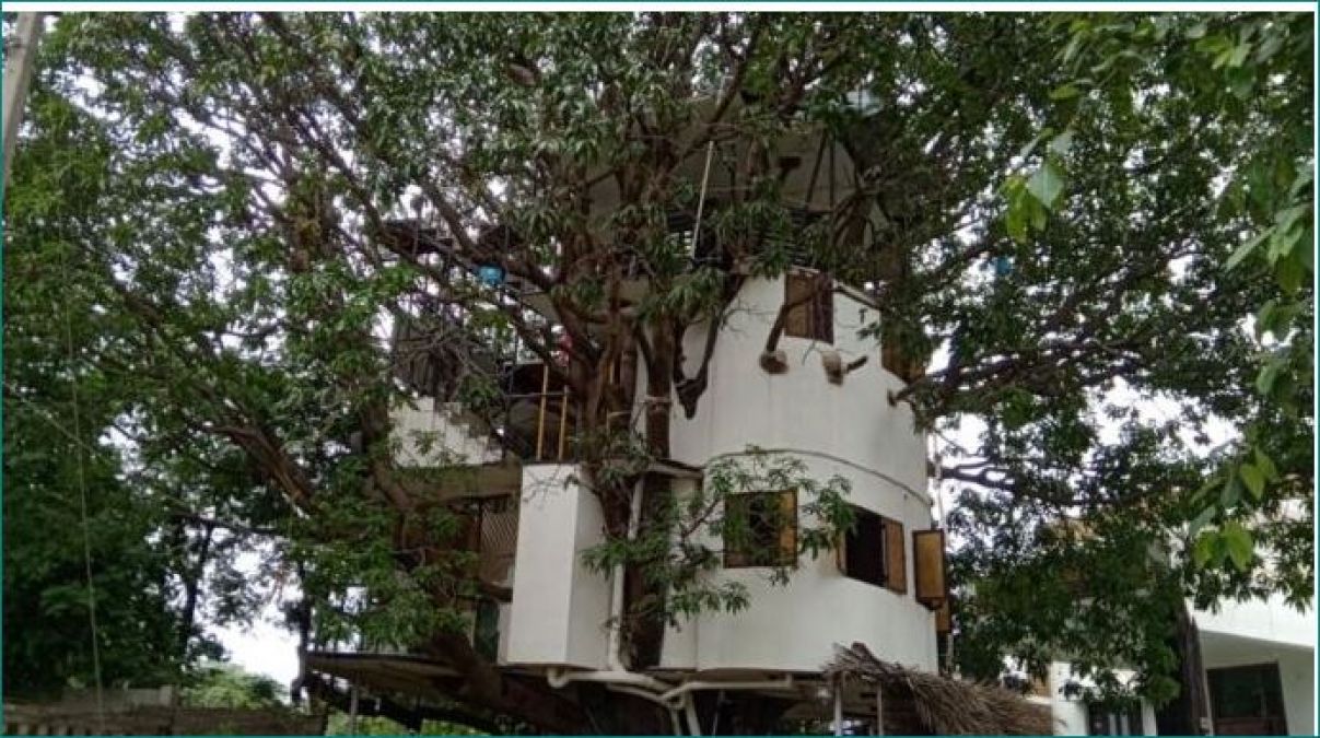 पेड़ पर बना है चार मंजिला घर, तस्वीरें देखकर होगी हैरानी