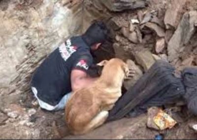 Video: Dog's puppies were buried deep under debris, This man helped