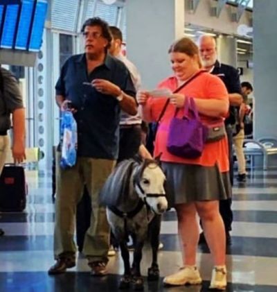 The woman was seen with a horse in flight, see viral video!