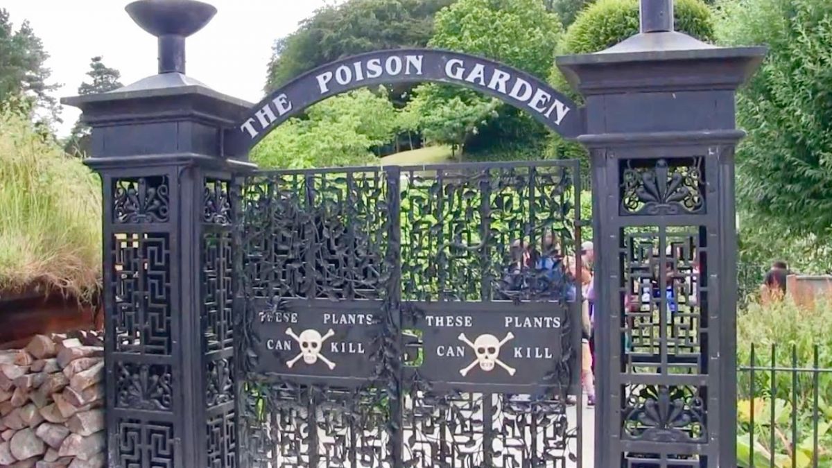 This garden is very poisonous, it can kill you in the blink of an eye!