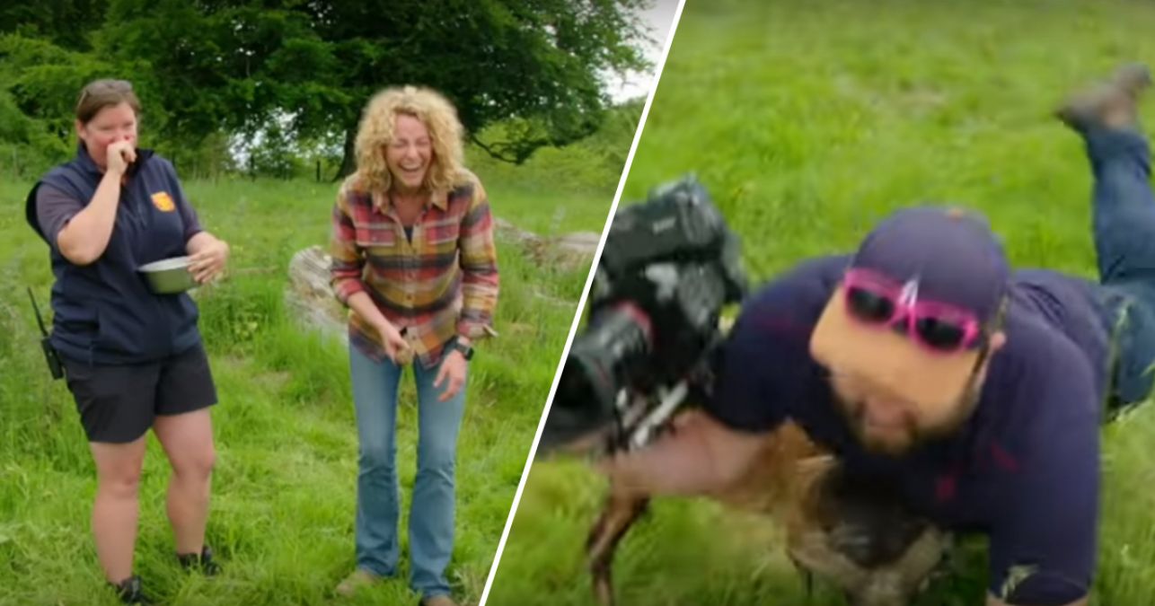 VIDEO: An angry sheep attacked BBC cameraman, Video goes viral