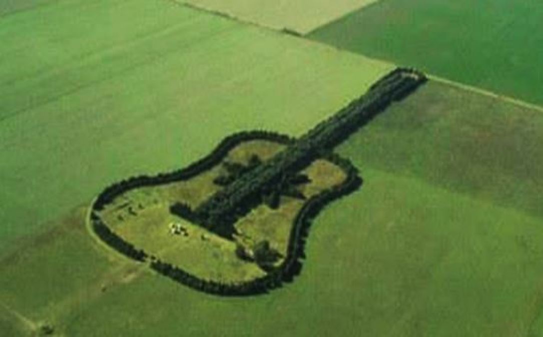 This Person grew 7000 trees in the shape of a guitar, know other interesting facts!