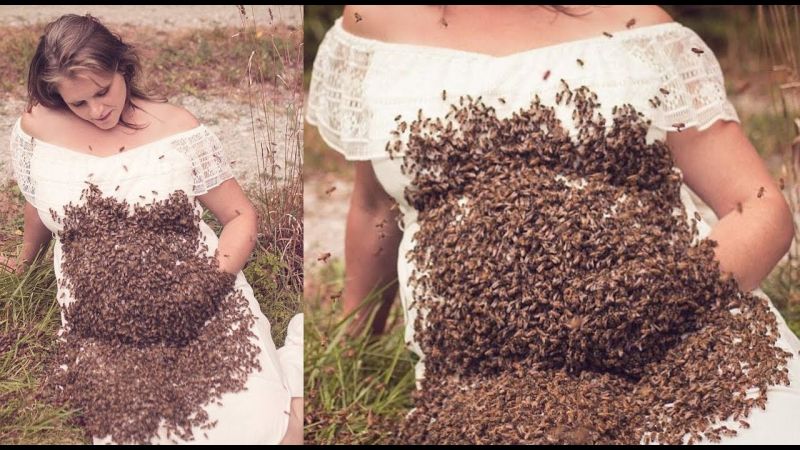 प्रेग्नेंट महिला ने करवाया 20 हज़ार मधुमक्खियों के साथ फोटोशूट, हो रहा है वायरल