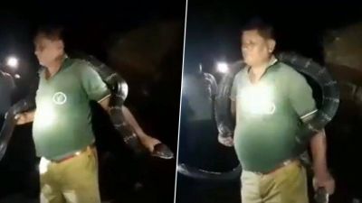 Forest guard put King Cobra in his neck, video goes viral