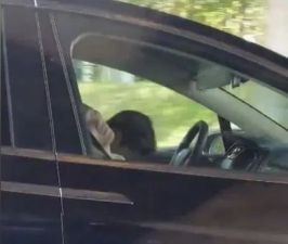 Video : चलती कार में सिर झुककर सो गया ड्राइवर और फिर...