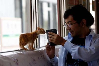 जापान में चली दुनिया पहली ट्रैन, जिसमे बिल्लियां भी करेंगी सफर