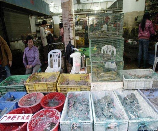 China again starts selling bats and pangolin in market