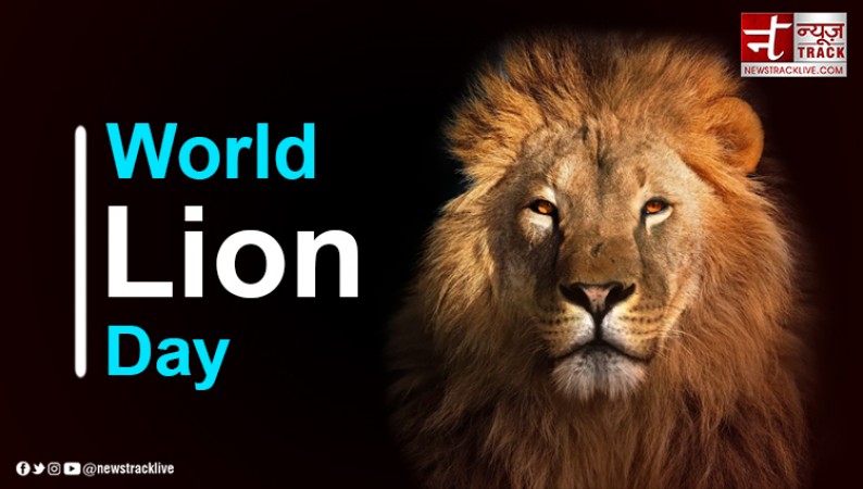 World Lion Day was established this year, know its significance