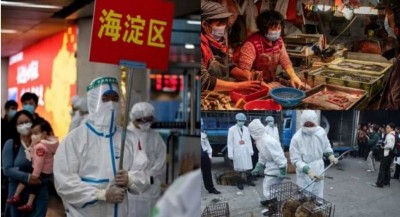 Another infectious virus wreaking havoc in China
