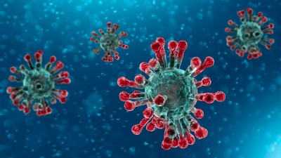Coronavirus found in frozen seafood packet