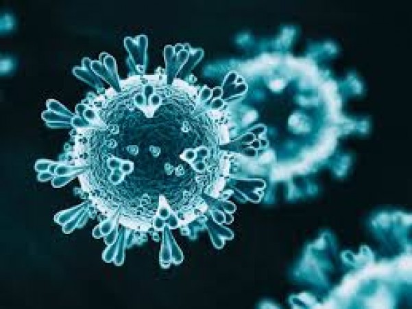 New cases of coronavirus surfaced in China in last 24 hours