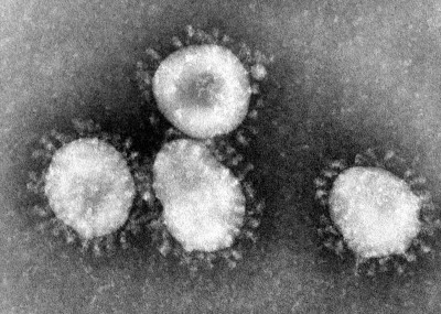 Japan engulfed by coronavirus, 10 new cases reported