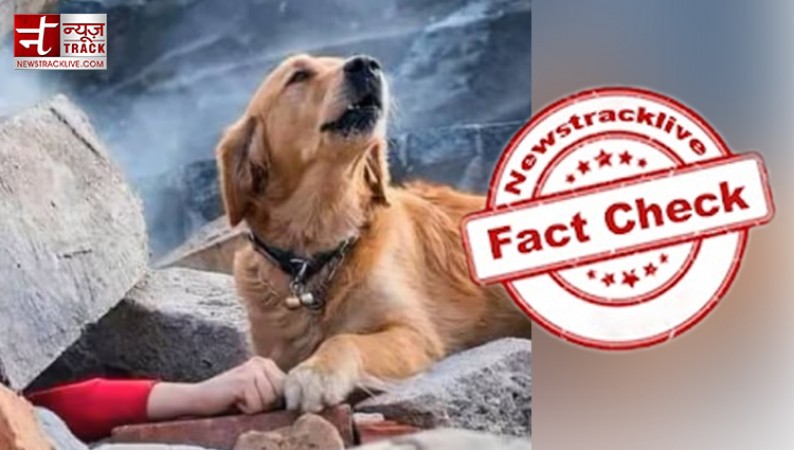 Fact Check: Heart-wrenching picture going viral after Turkey earthquakes, Know what's the truth