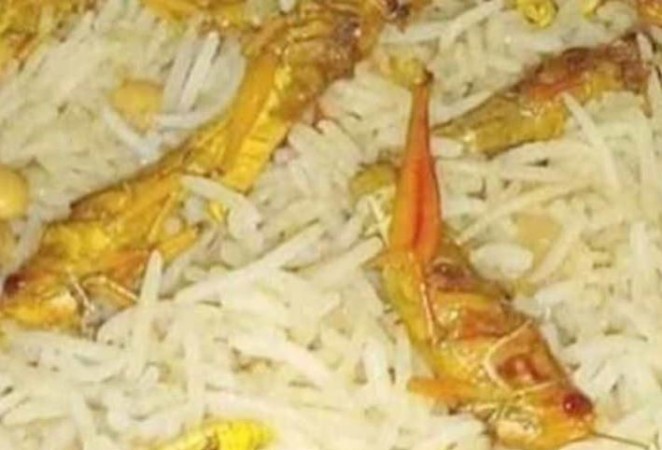Pakistan cooking locusts in biryani and eating them