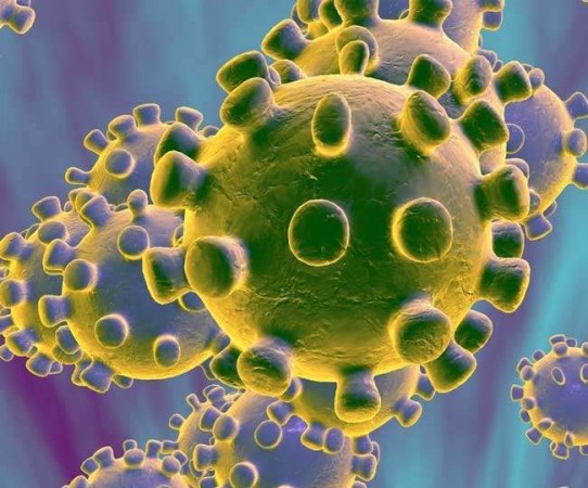Coronavirus:  WHO says,  'virus can also take the form of epidemic'
