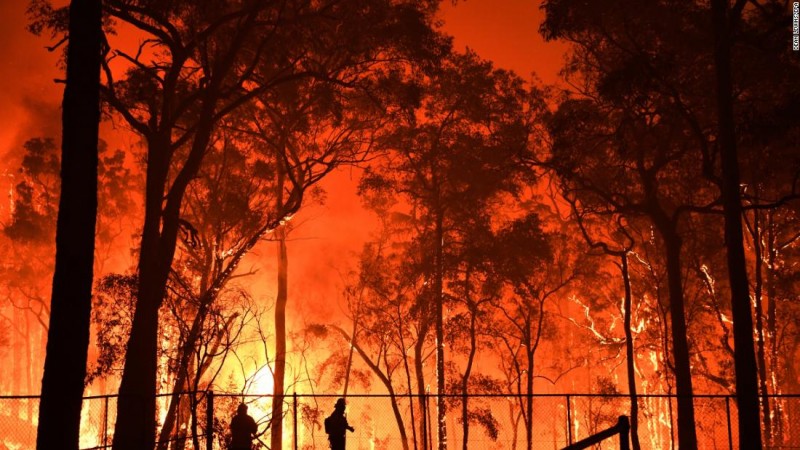 Nature started to extinguish the fire of Australia's forests